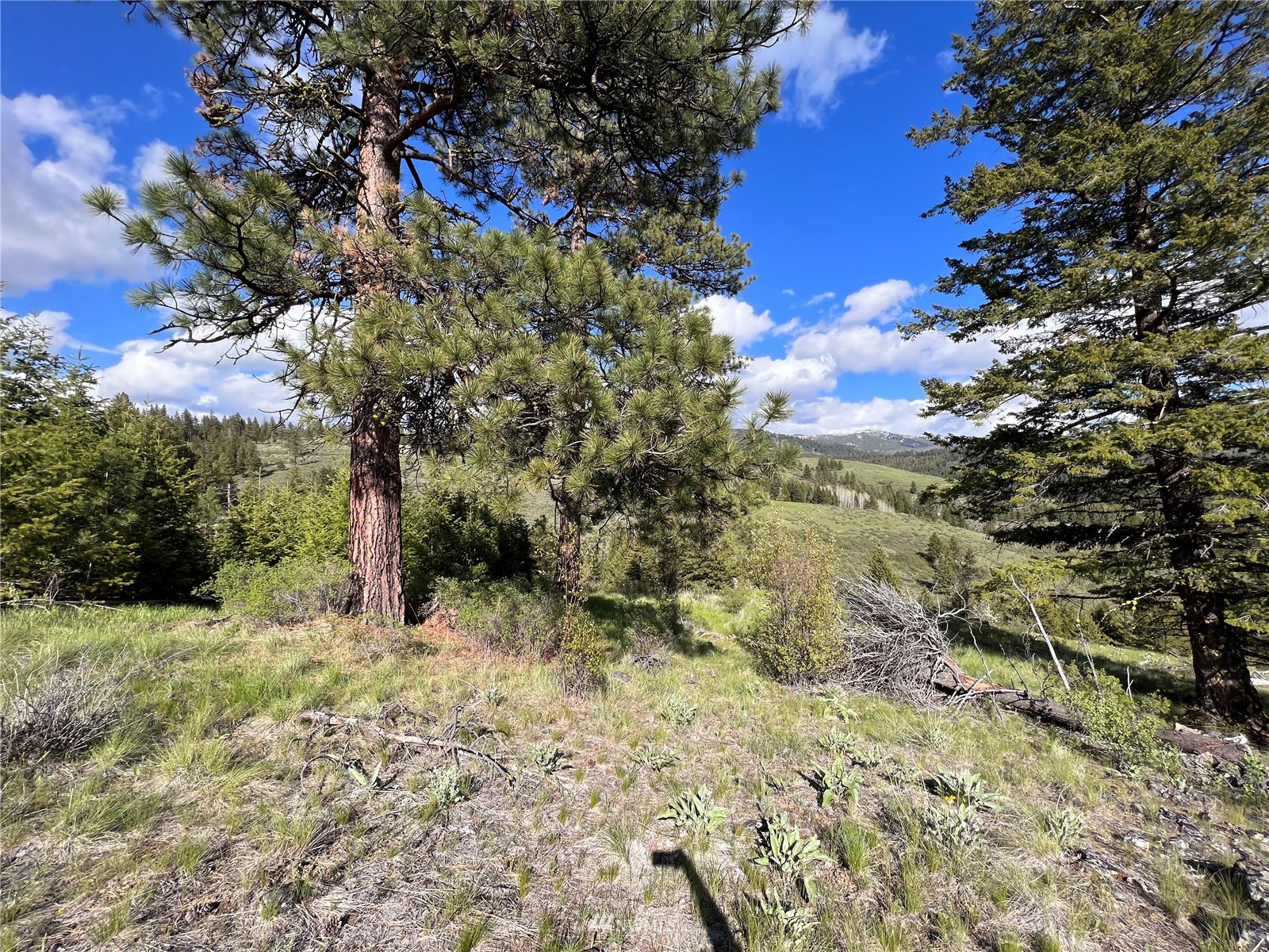 34 Wildman Road Republic, WA 99166 - Photo 25 of 25 Gallery Image 25