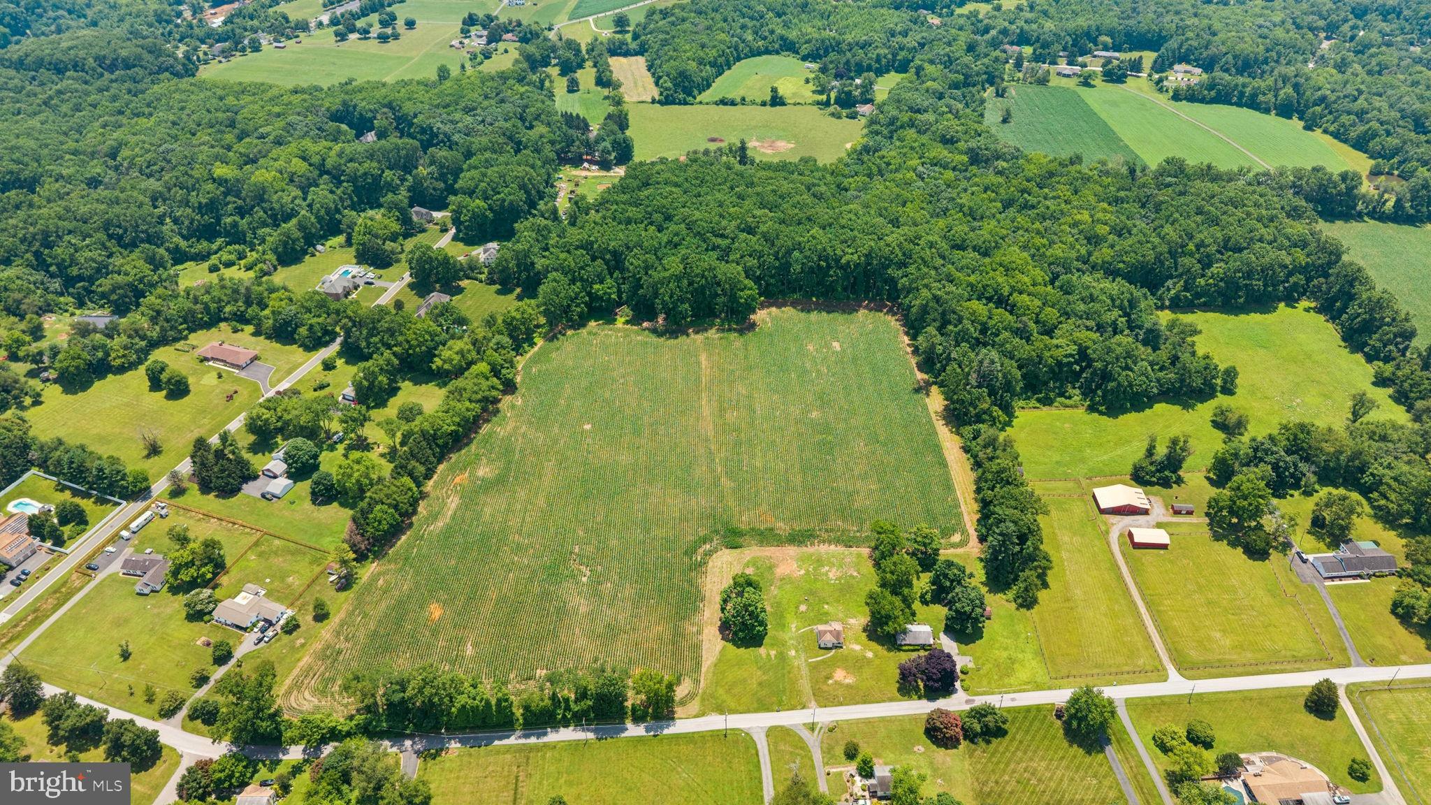 7219 New Cut Road Kingsville, MD 21087 - Photo 8 of 59 Gallery Image 8