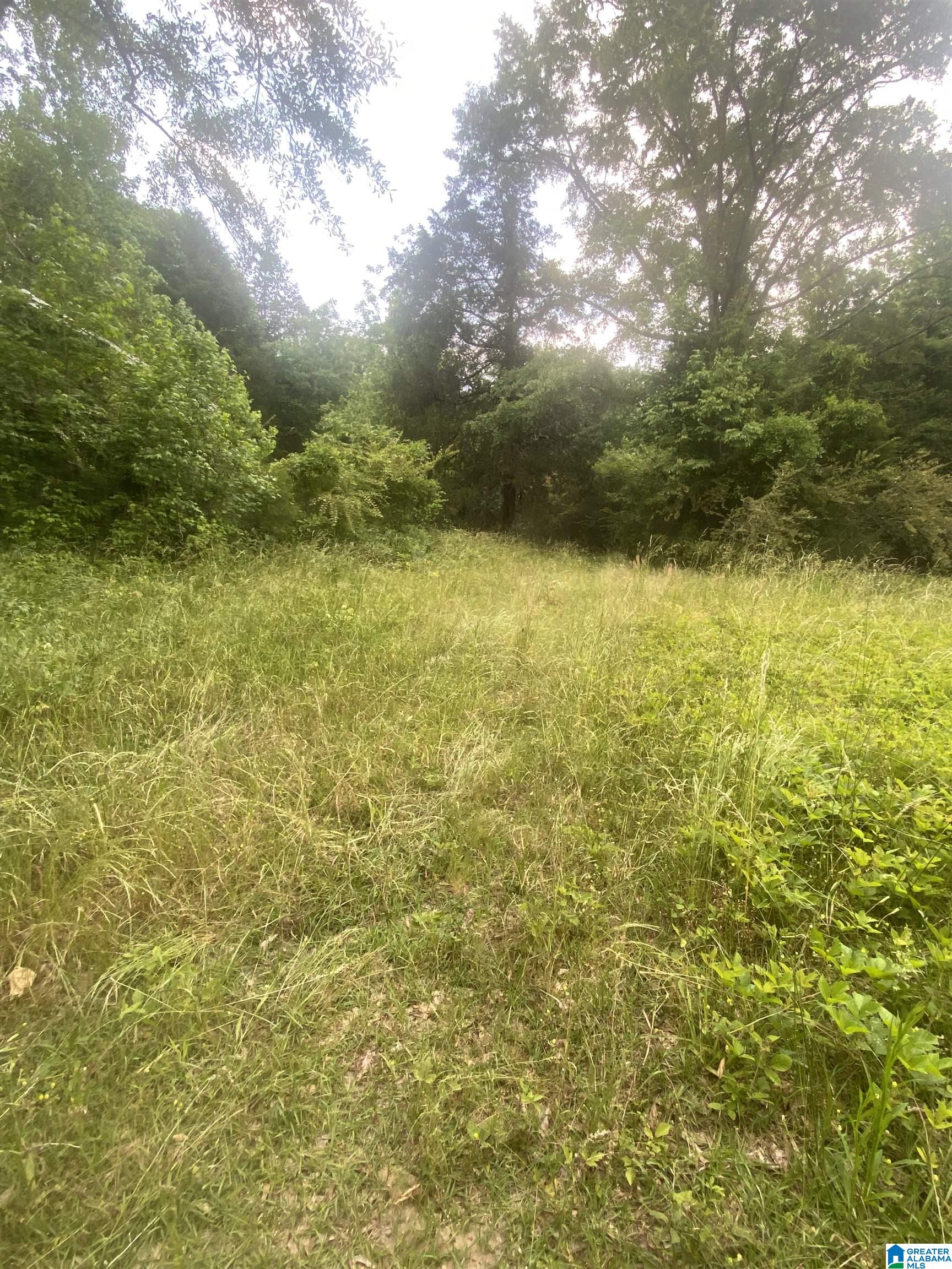 201 Baret Creek Road Selma, AL 36701 - Photo 4 of 7