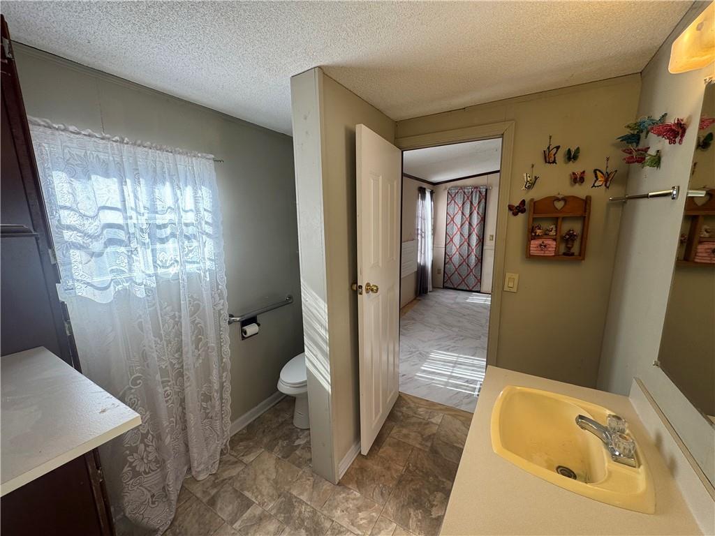 524 Pink Williams Road Dahlonega, GA 30533 - Photo 20 of 39 a bathroom with a sink and toilet