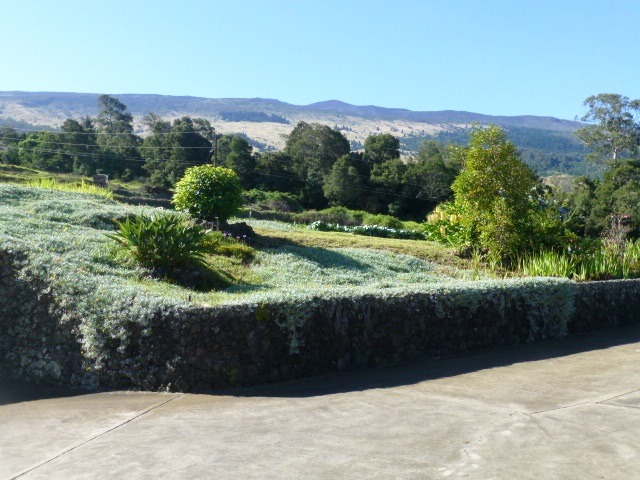 281 Hapapa Road Kula, HI 96790 - Photo 3 of 29 Gallery Image 3