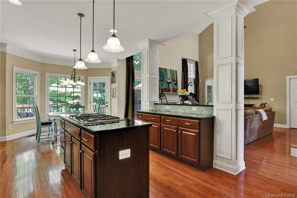 1865 Chestnut Hill Drive Tega Cay, SC 29708 - Photo 11 of 36 Gallery Image 11