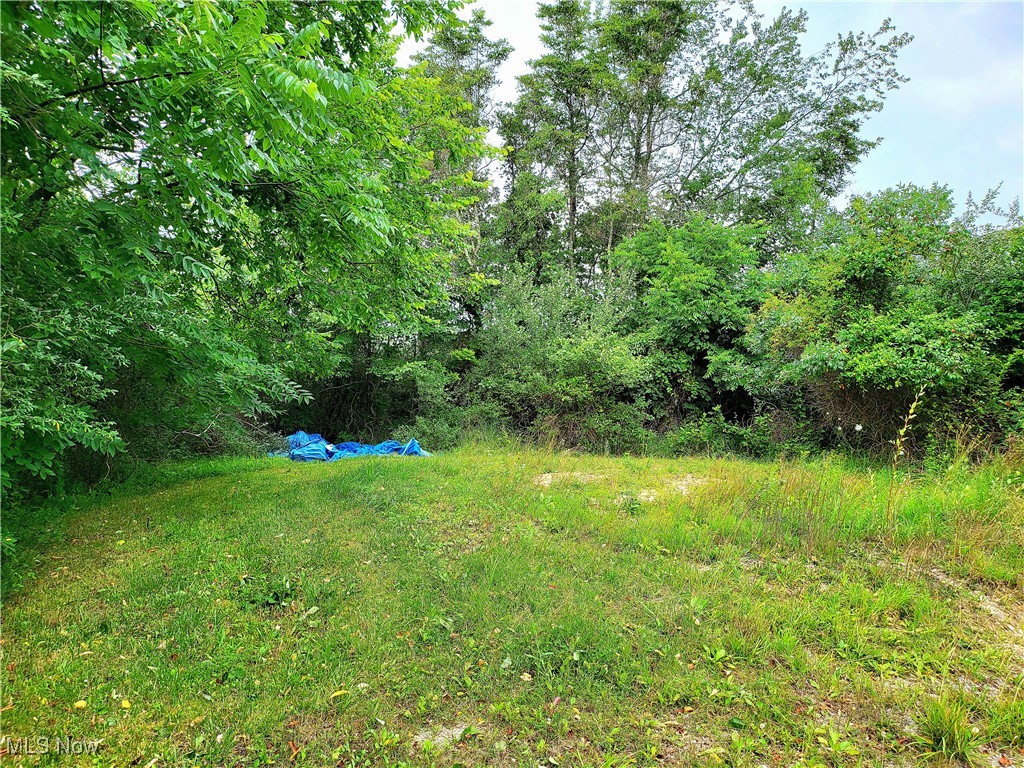 0 Mayle Ridge Road Cutler, OH 45724 - Photo 5 of 13
