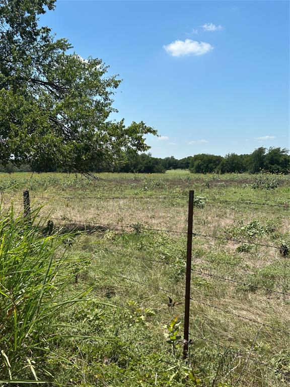 1170 Airport Road Tioga, TX 76271 - Photo 10 of 14 Boundary of Trees