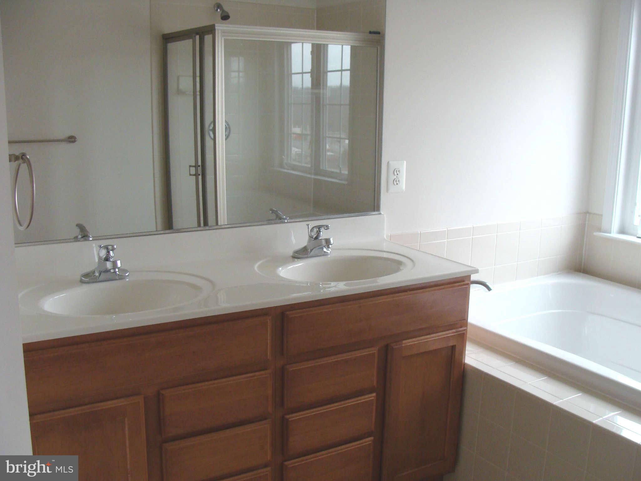 17692 Possum Point Road Dumfries, VA 22026 - Photo 21 of 29 Bath (Master)