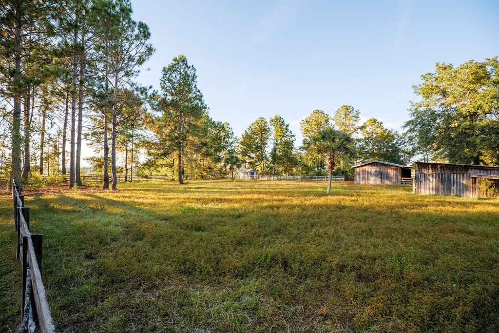 3659 Rountree Brg Road Adel, GA 31620 - Photo 35 of 67 Gallery Image 35