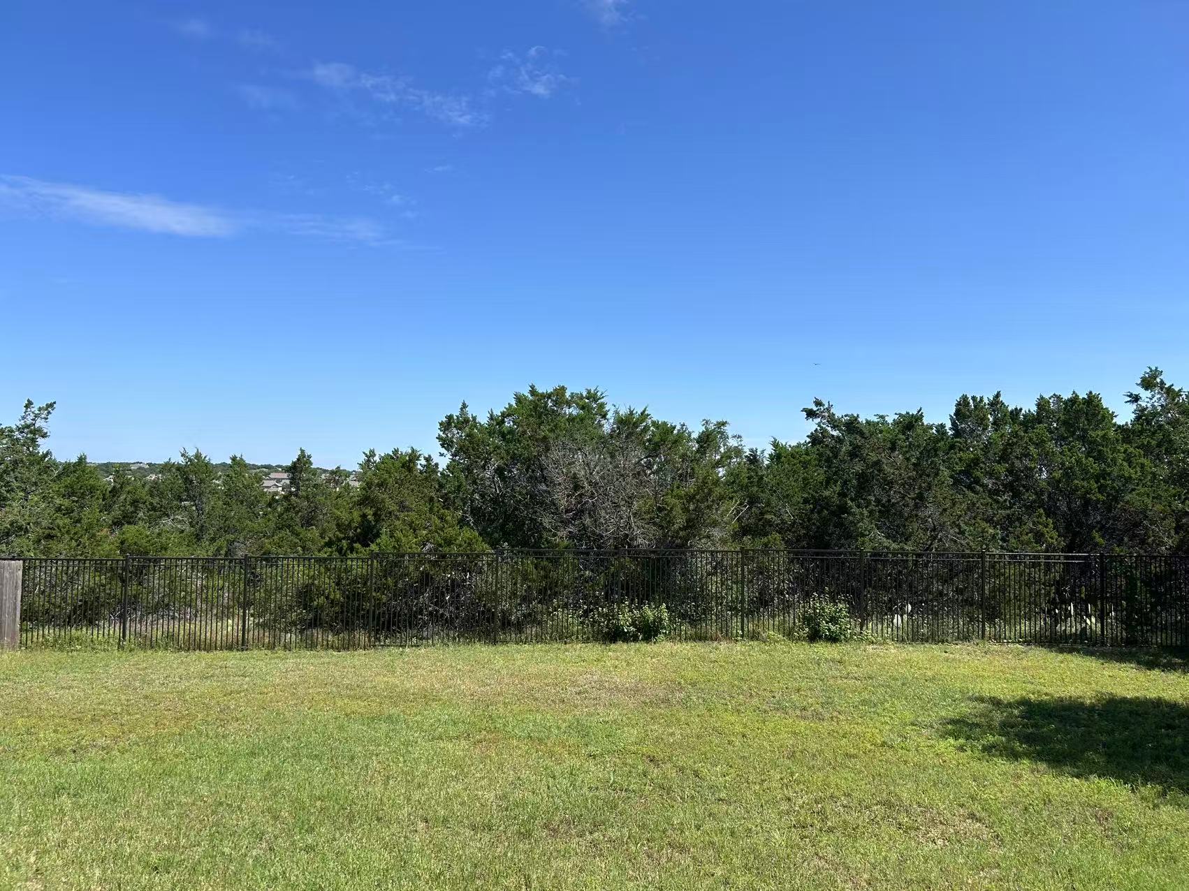 12017 Springs Head Loop Austin, TX 78717 - Photo 25 of 25 A verdant backyard offers a sweeping, distant vista of the community below the horizon.