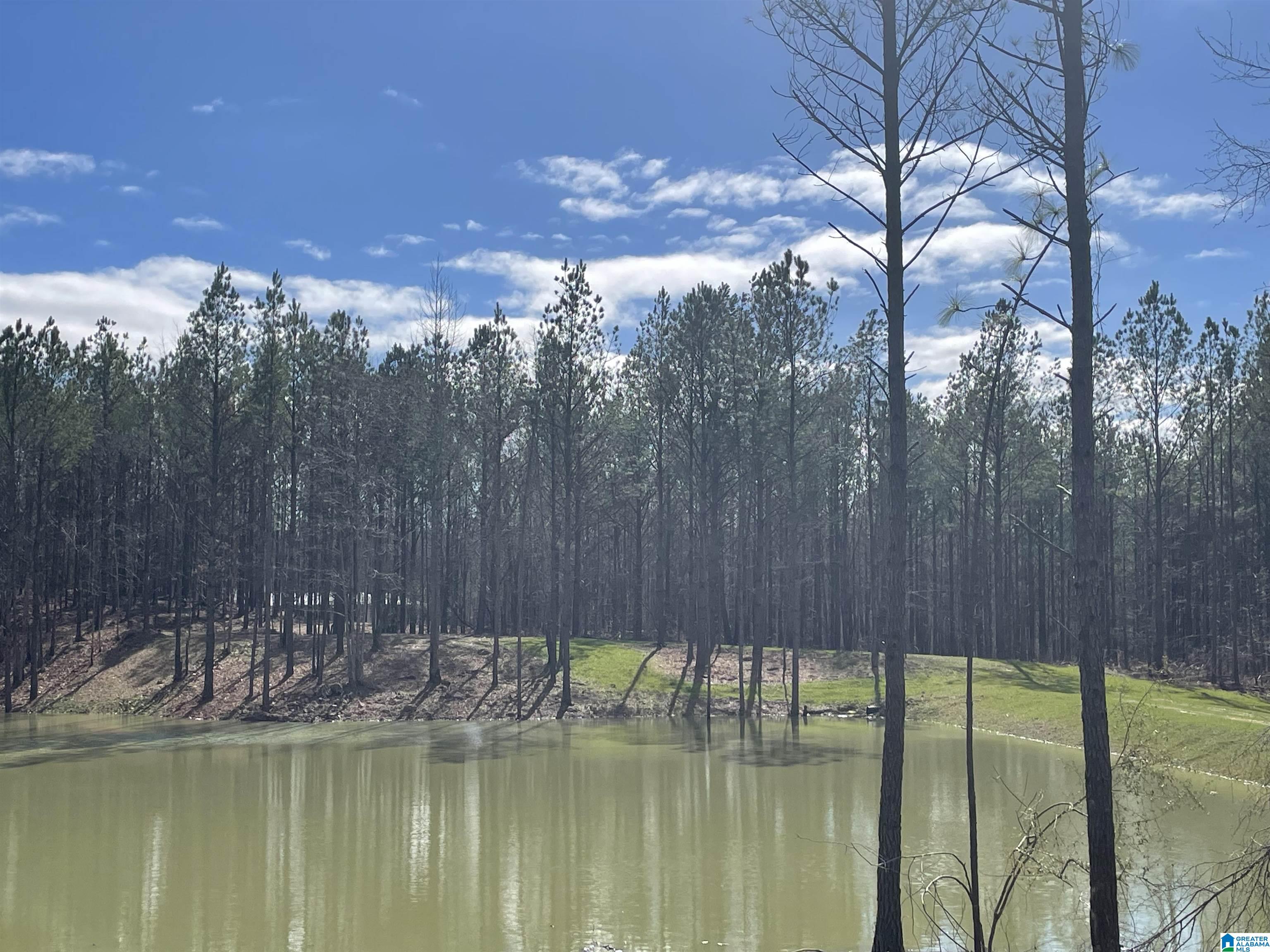 1 Chelsea Road, Unit 3 Columbiana, AL 35051 - Photo 4 of 22