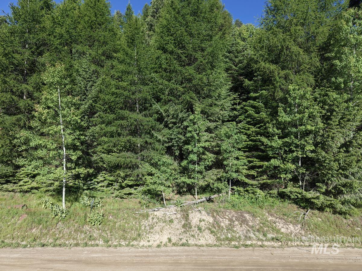 1457 West Mountain Road Cascade, ID 83611 - Photo 9 of 15