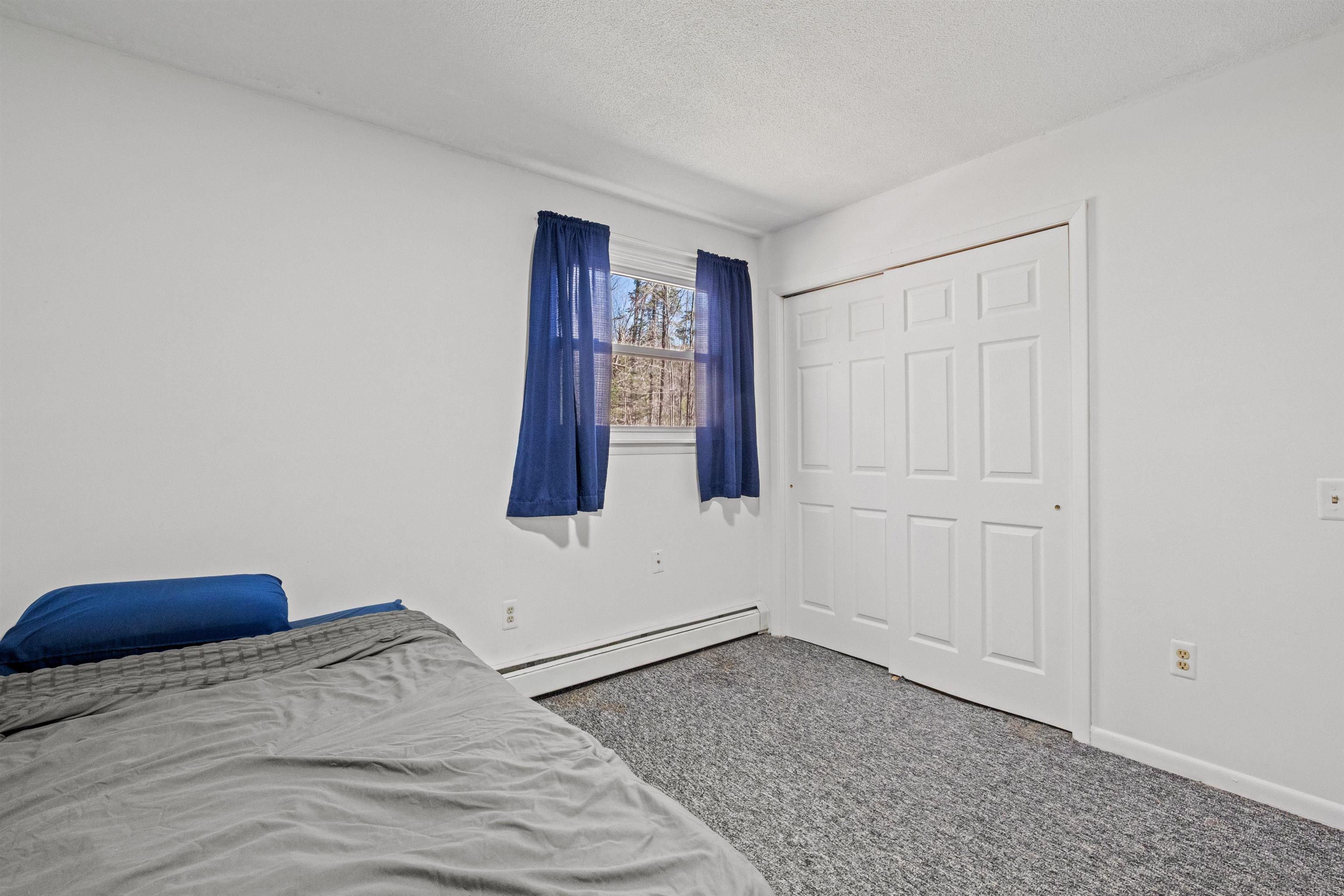 33 Eagle Drive Grantham, NH 03753 - Photo 23 of 49