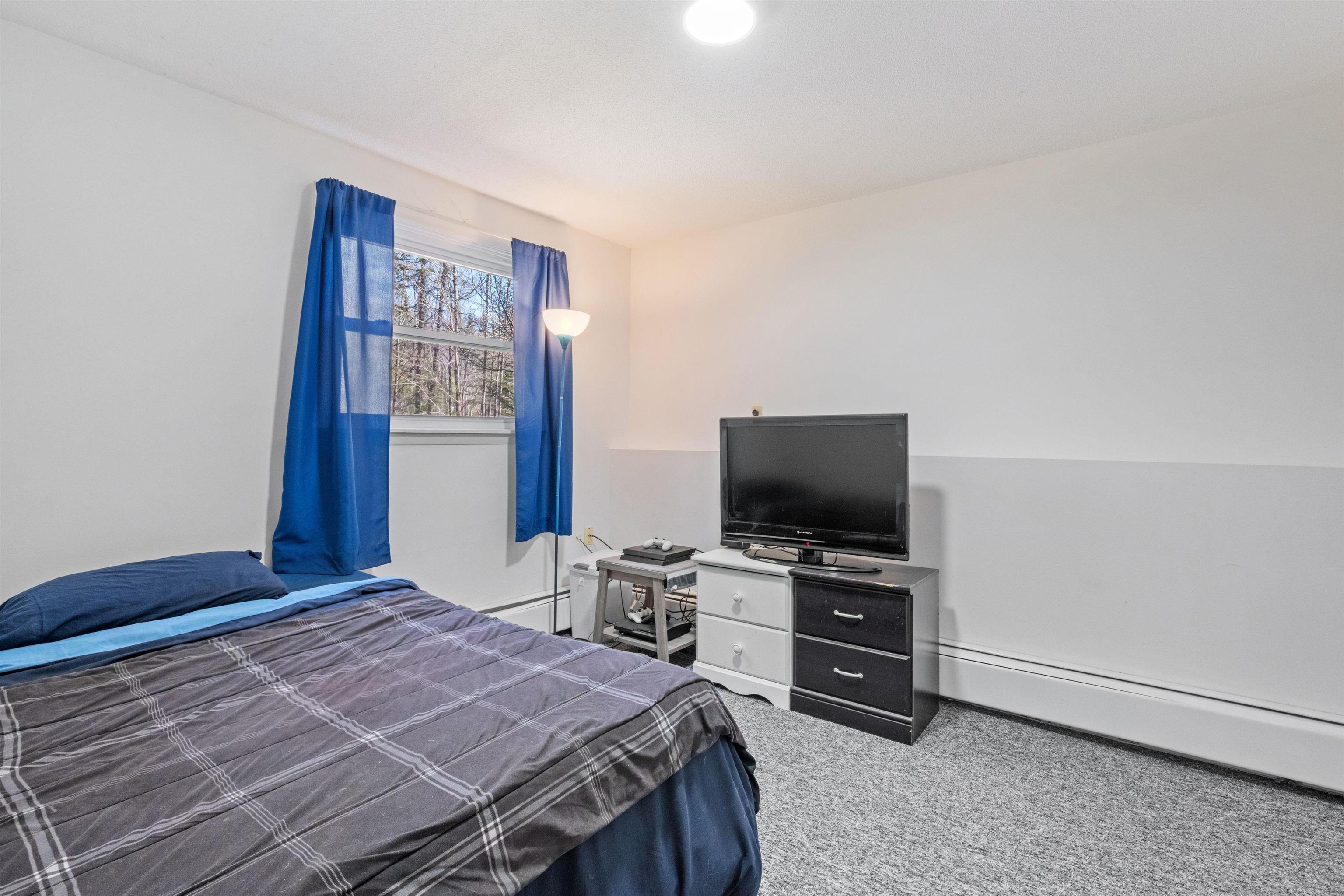 33 Eagle Drive Grantham, NH 03753 - Photo 25 of 49