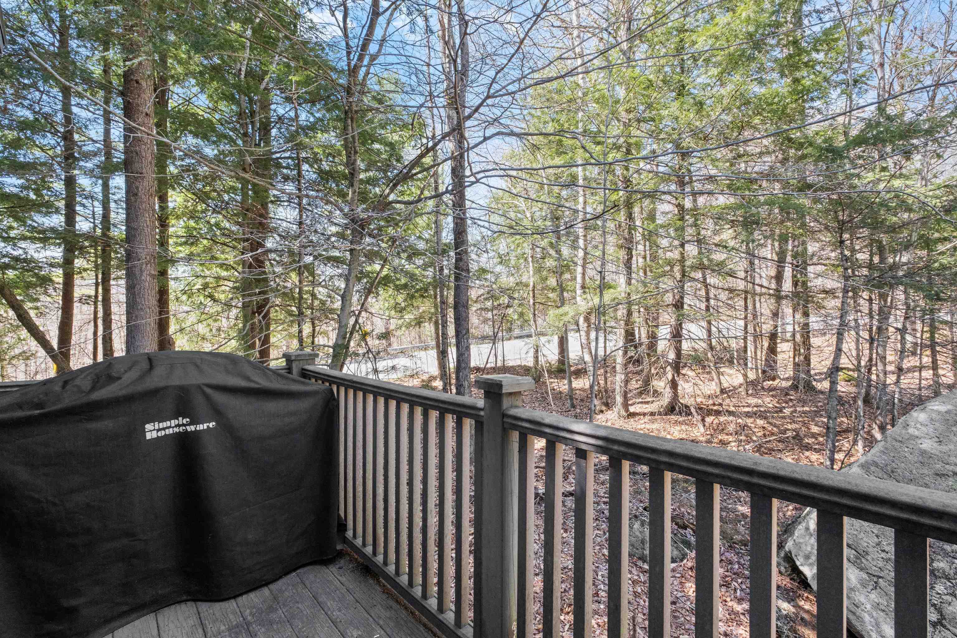 33 Eagle Drive Grantham, NH 03753 - Photo 8 of 49