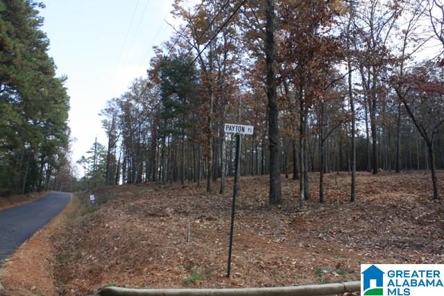Peyton Place, Unit 3 Weaver, AL 36277 - Photo 36 of 40