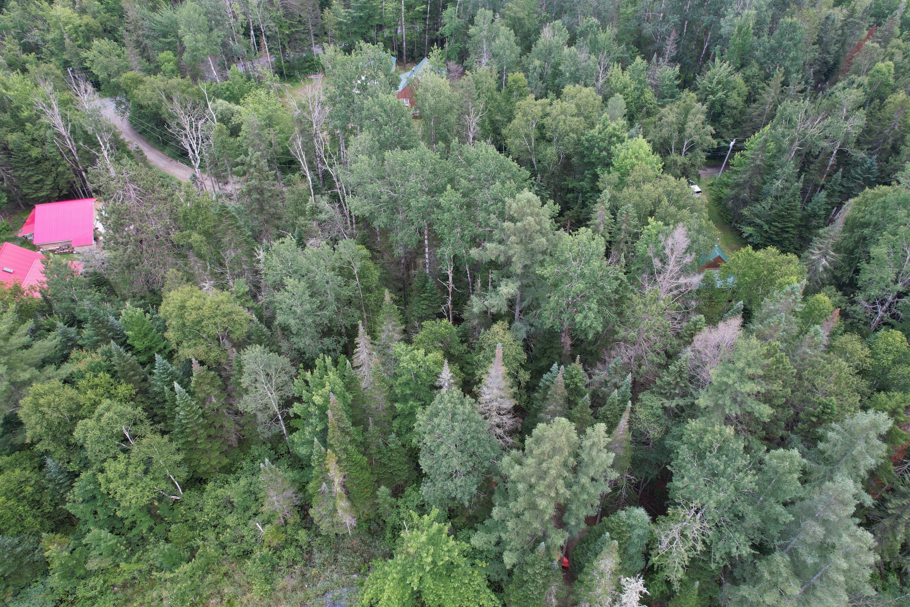 Tbd Nubble Way Stratton, ME 04982 - Photo 20 of 21 DJI_0115