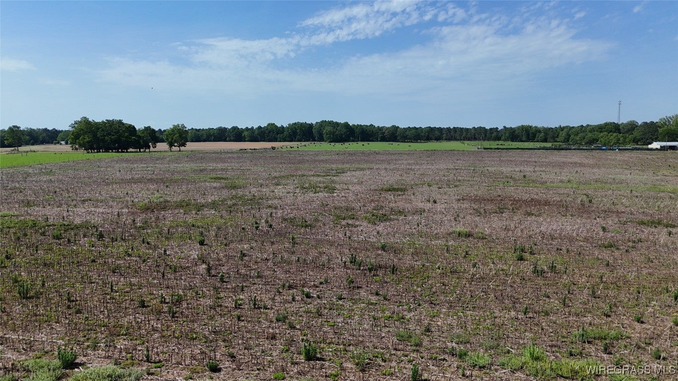3799 Hogan Road Deatsville, AL 36022 - Photo 6 of 17 Gallery Image 6