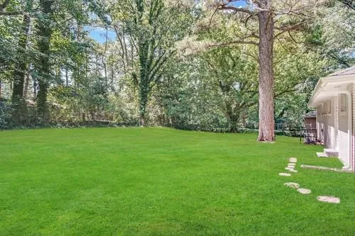 a view of a yard with a trees