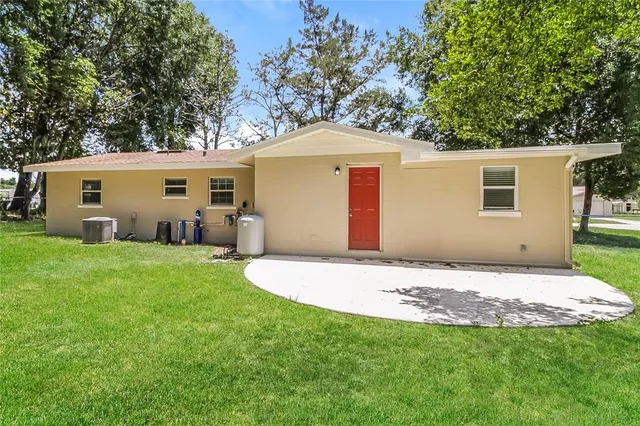 a view of a backyard with plants and a large tree