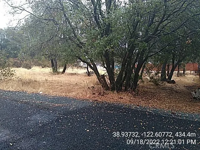 a view of a yard with a tree