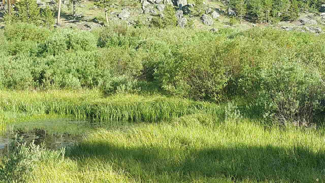 11 Sportsman Road Laramie, WY 82070 - Photo 1 of 1 Gallery Image 1