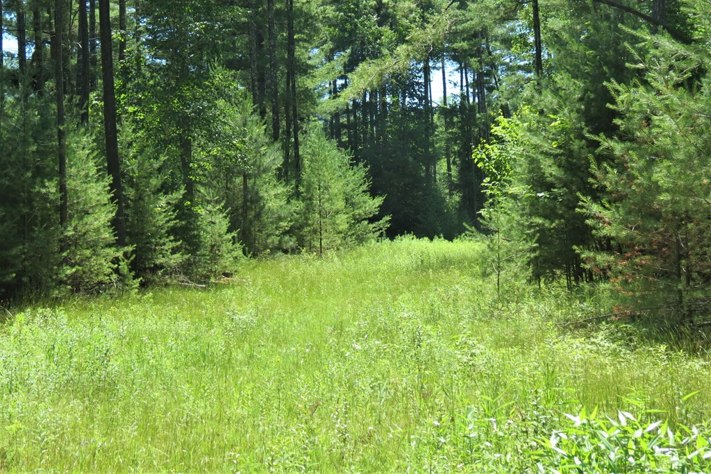407 Upper Jay-Trumbulls Corners Road Jay, NY 12941 - Photo 13 of 25