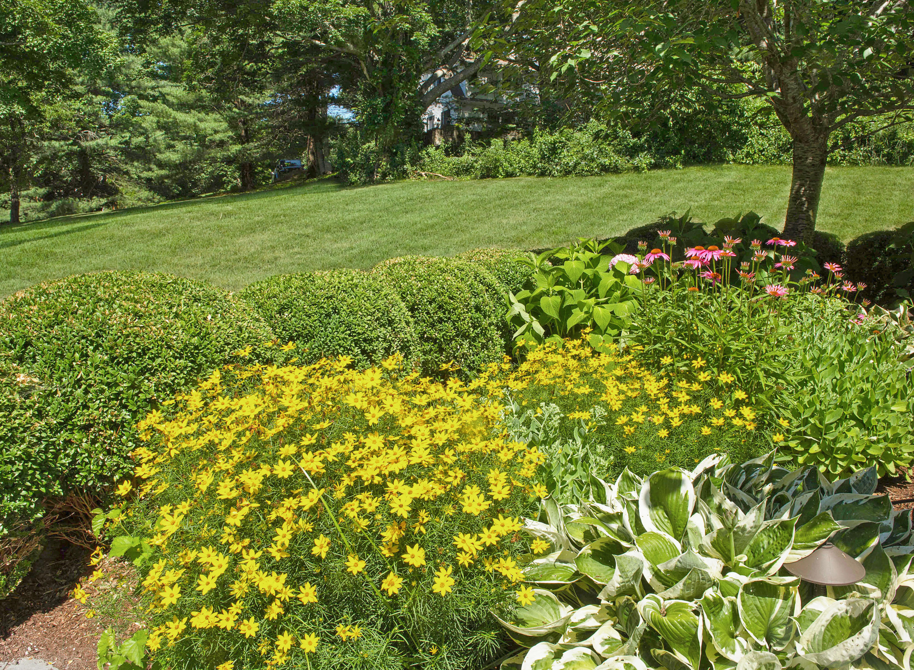 20 Silvermine Road New Canaan, CT 06840 - Photo 40 of 45 a view of a garden with plants and large trees