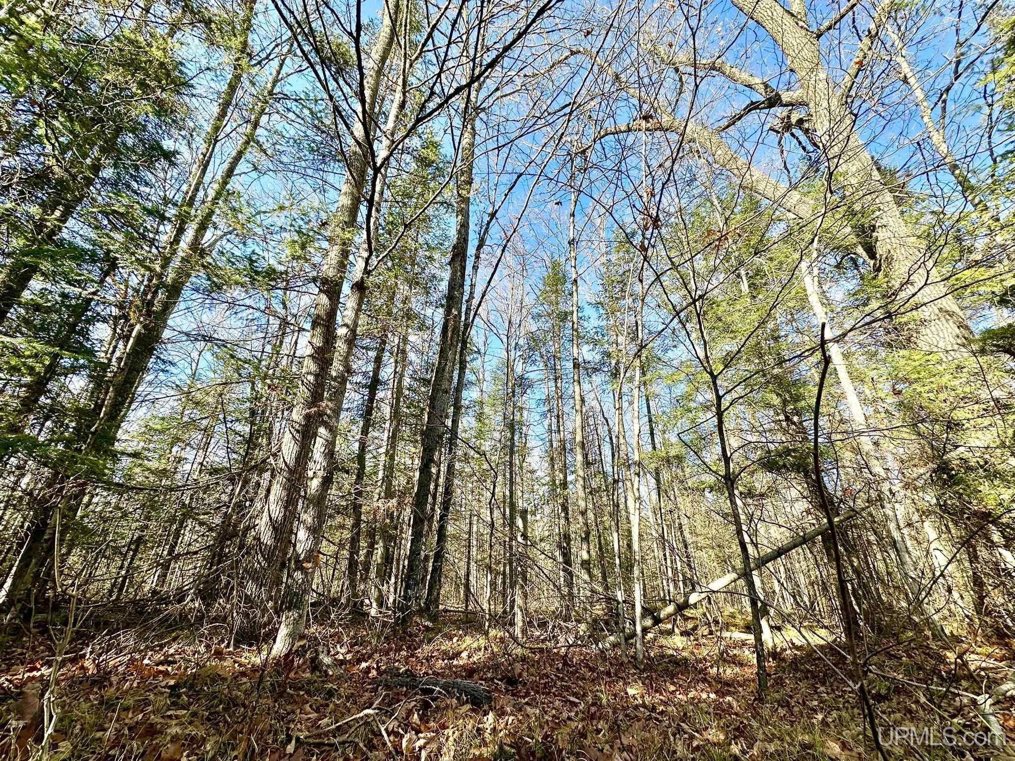 Parcel 2 Sportsmans Club Road Iron Mountain, MI 49801 - Photo 2 of 4
