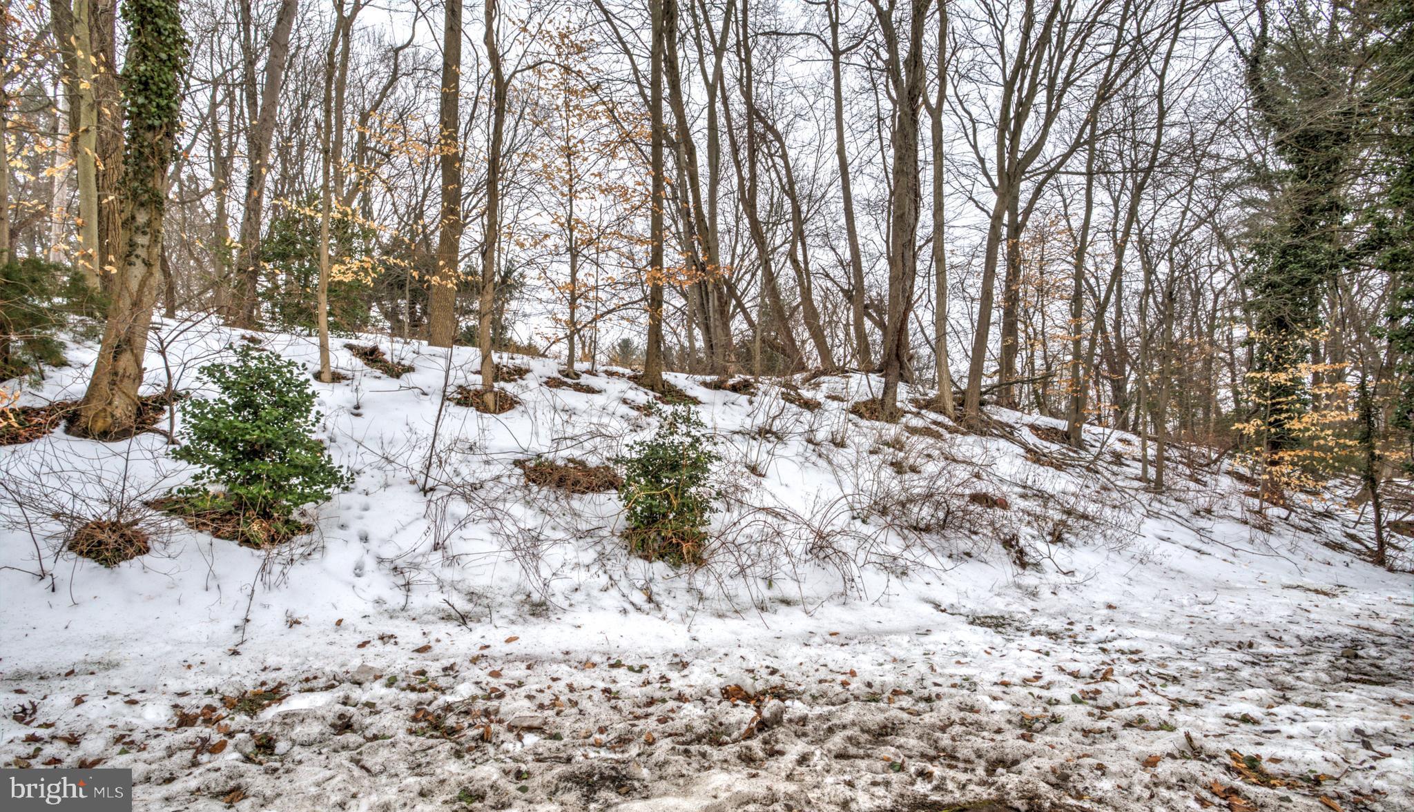 333 Golf Hills Road Havertown, PA 19083 - Photo 36 of 36