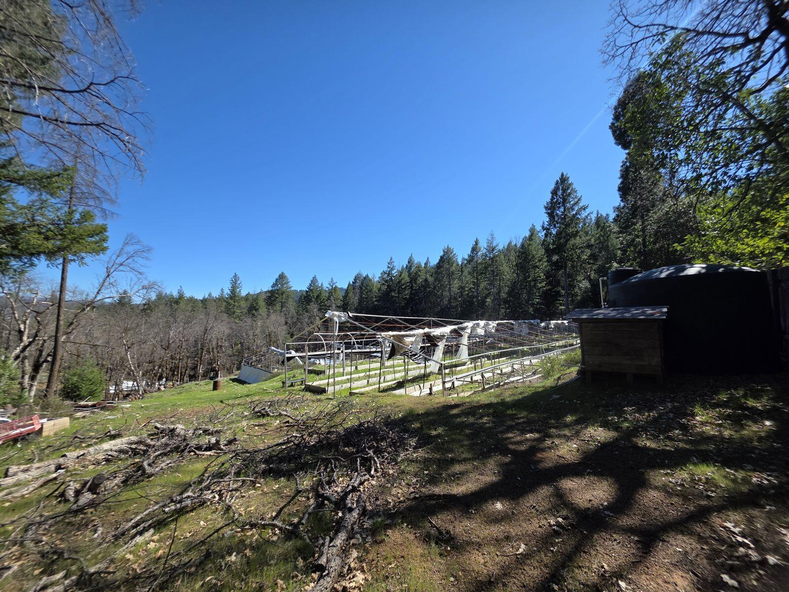 2141 Mc Alexander Road Hayfork, CA 96041 - Photo 29 of 29 mc30