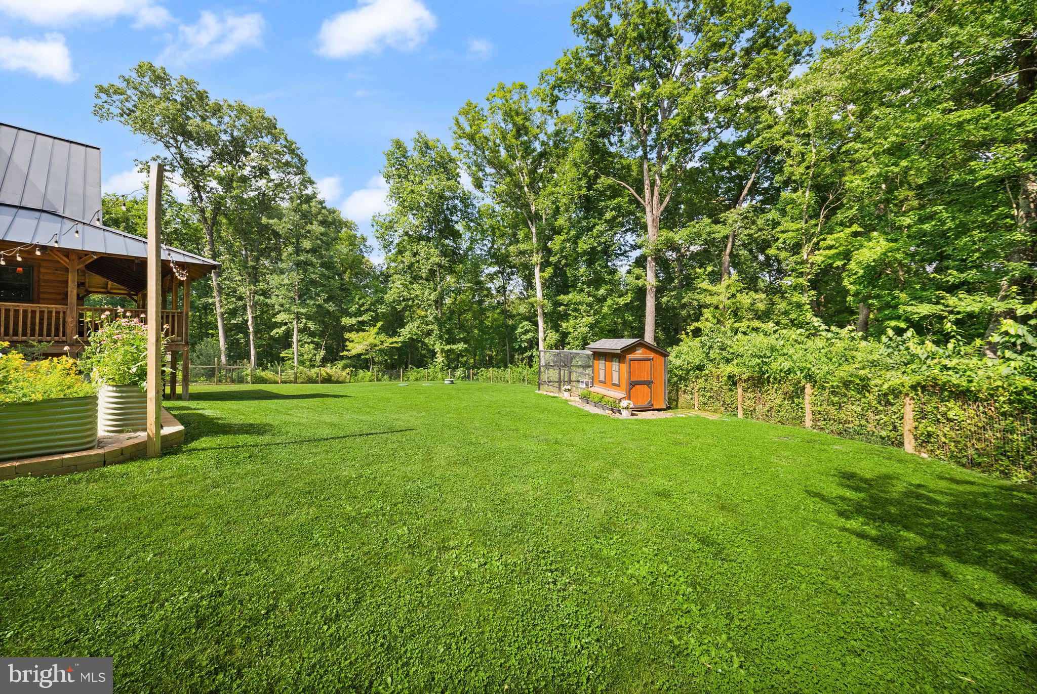 4020 Millwood Road Boyce, VA 22620 - Photo 86 of 132 Large backyard area within deer-deterrent fence.
