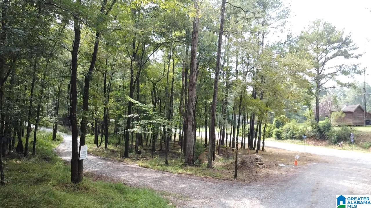58 Rustic Oaks Drive Sterrett, AL 35147 - Photo 14 of 30