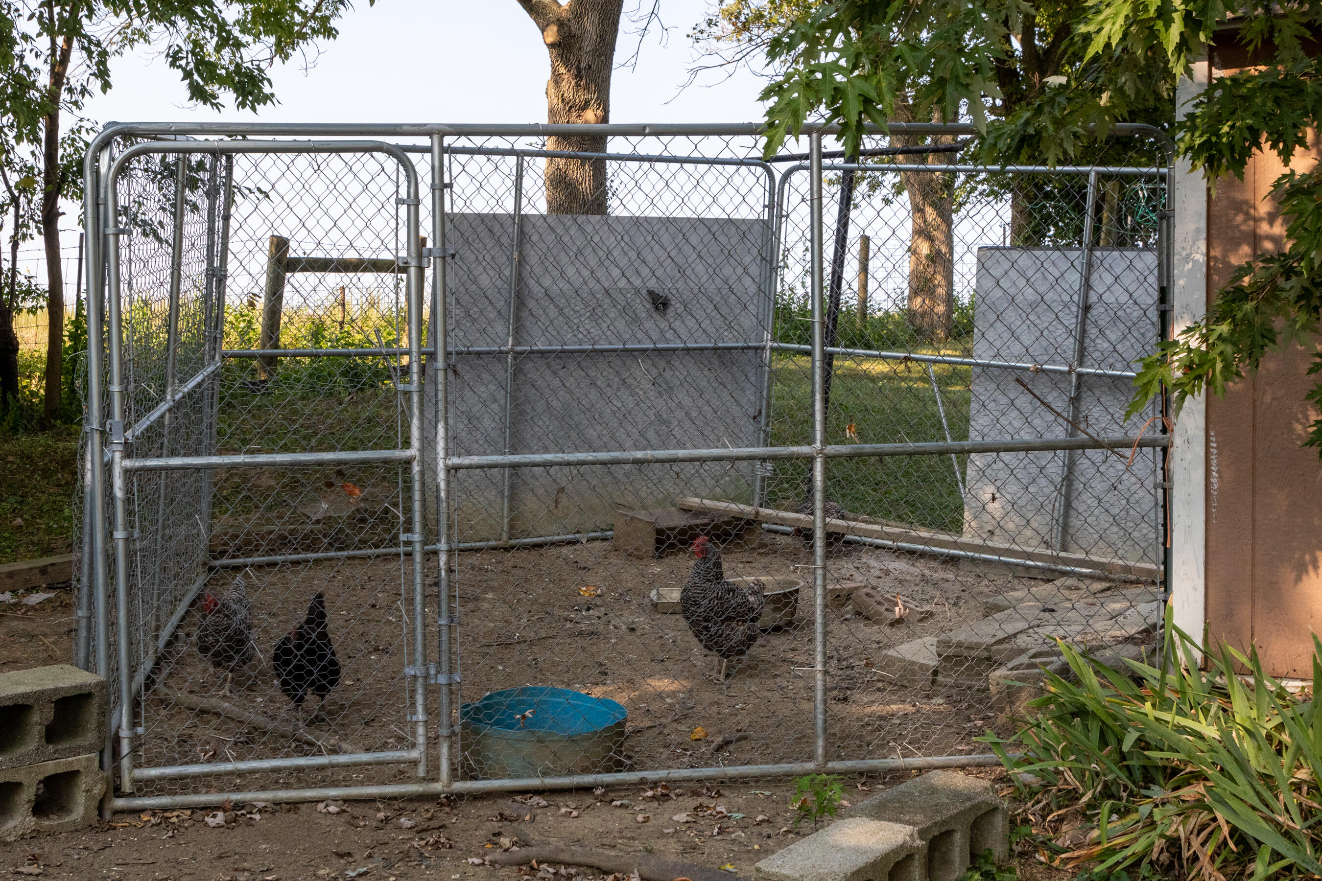 606 Cox Street Perryville, KY 40468 - Photo 50 of 50 Backyard