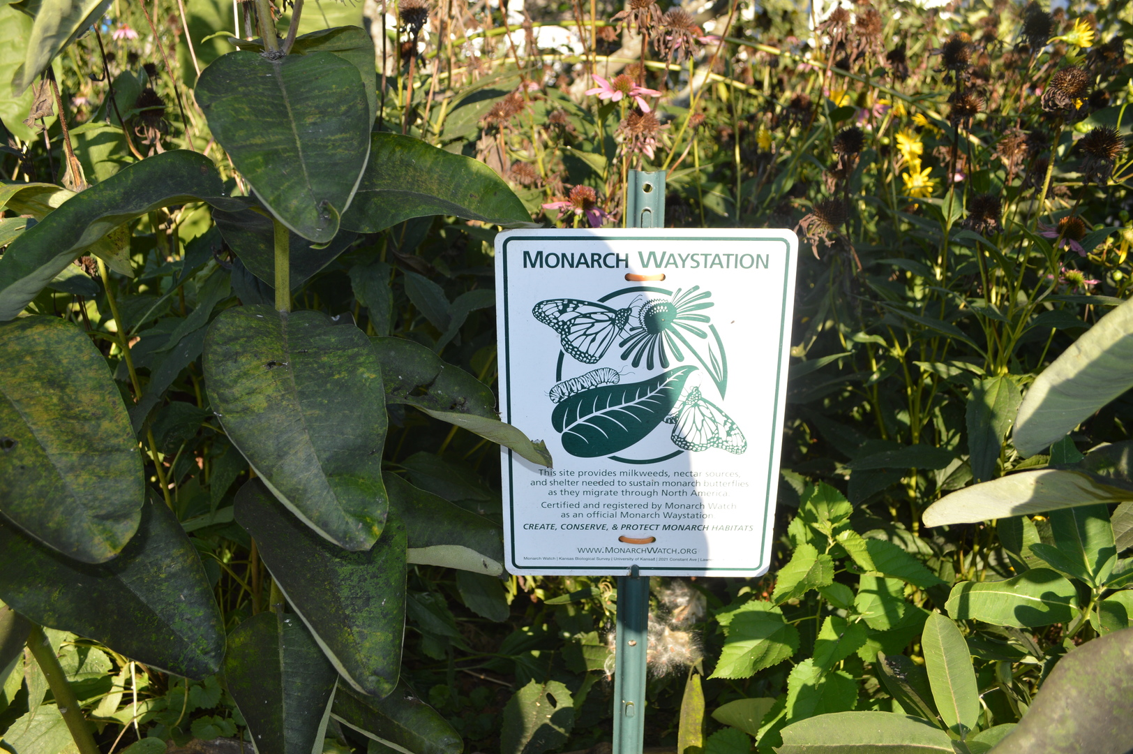 523 North Knox Street Princeton, IL 61356 - Photo 16 of 22 unknown