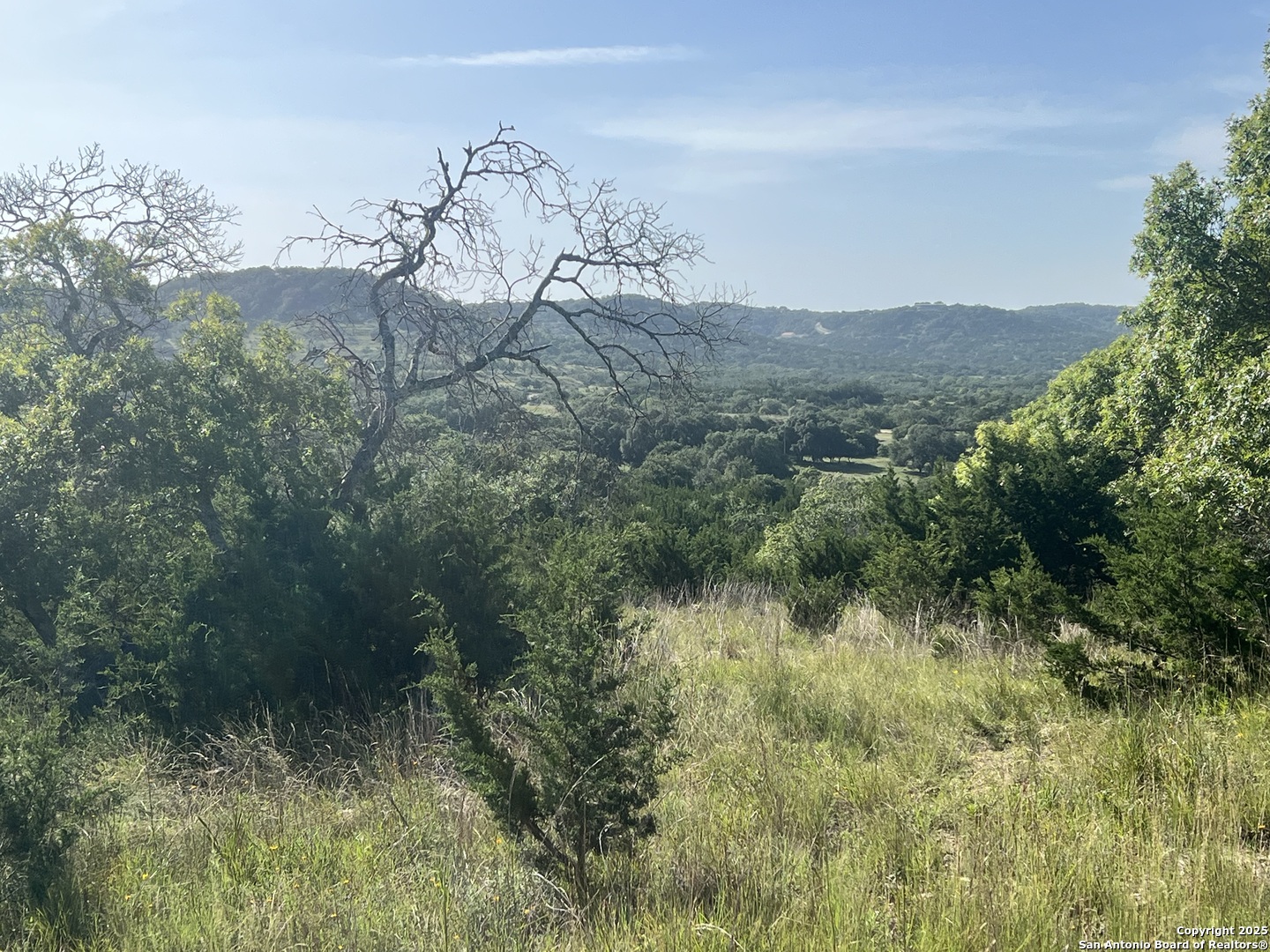 118 Coleman Boerne, TX 78006 - Photo 1 of 20 a view of a mountain in the distance in a field