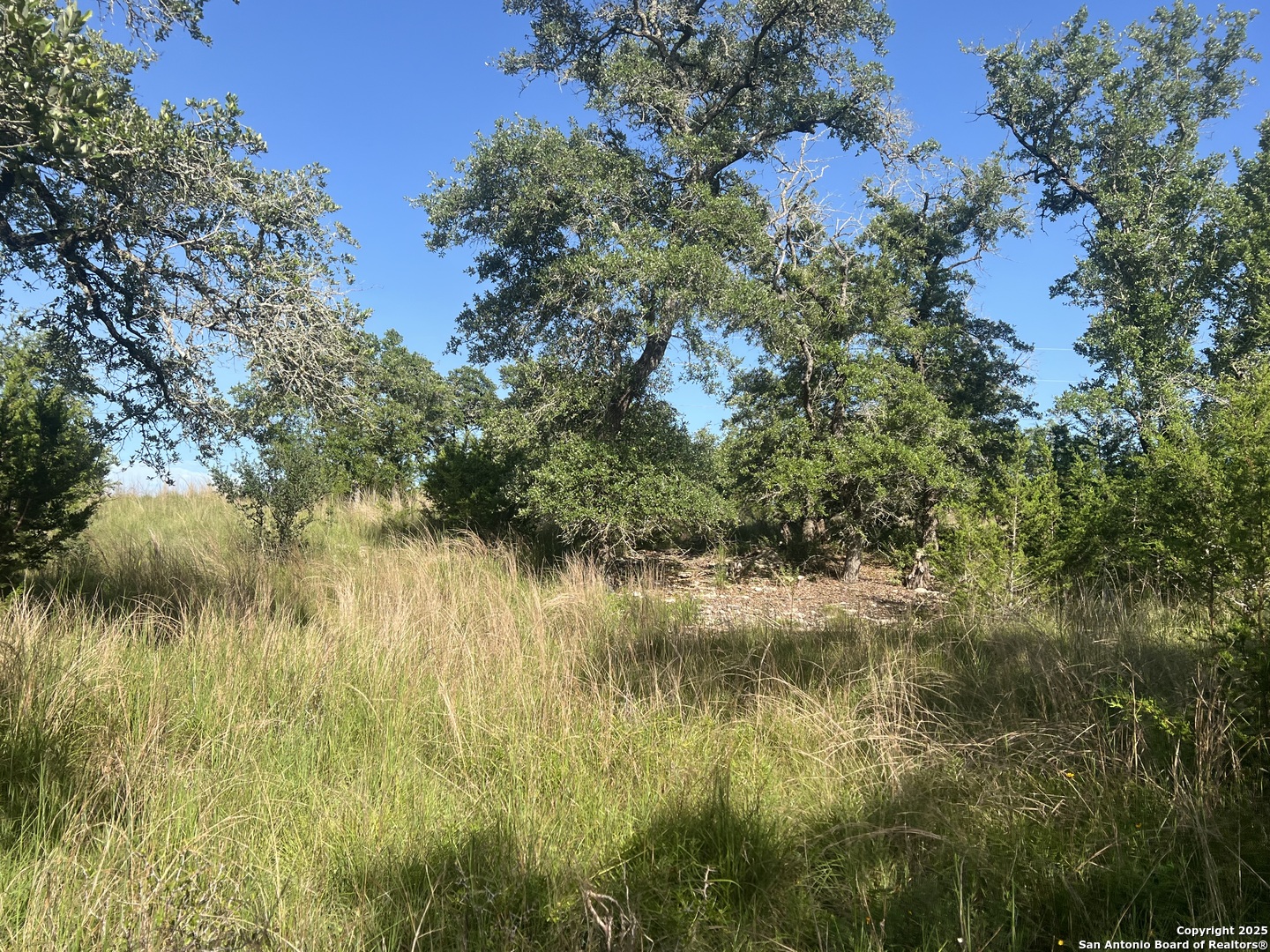 118 Coleman Boerne, TX 78006 - Photo 12 of 20 a view of a lake view