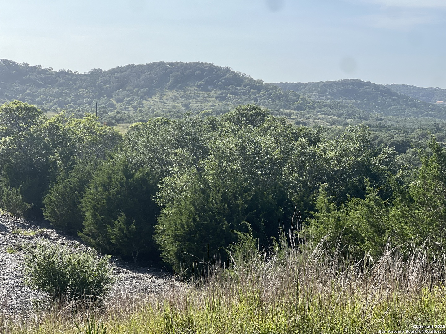 118 Coleman Boerne, TX 78006 - Photo 16 of 20 a view of a lush green hillside and a houses