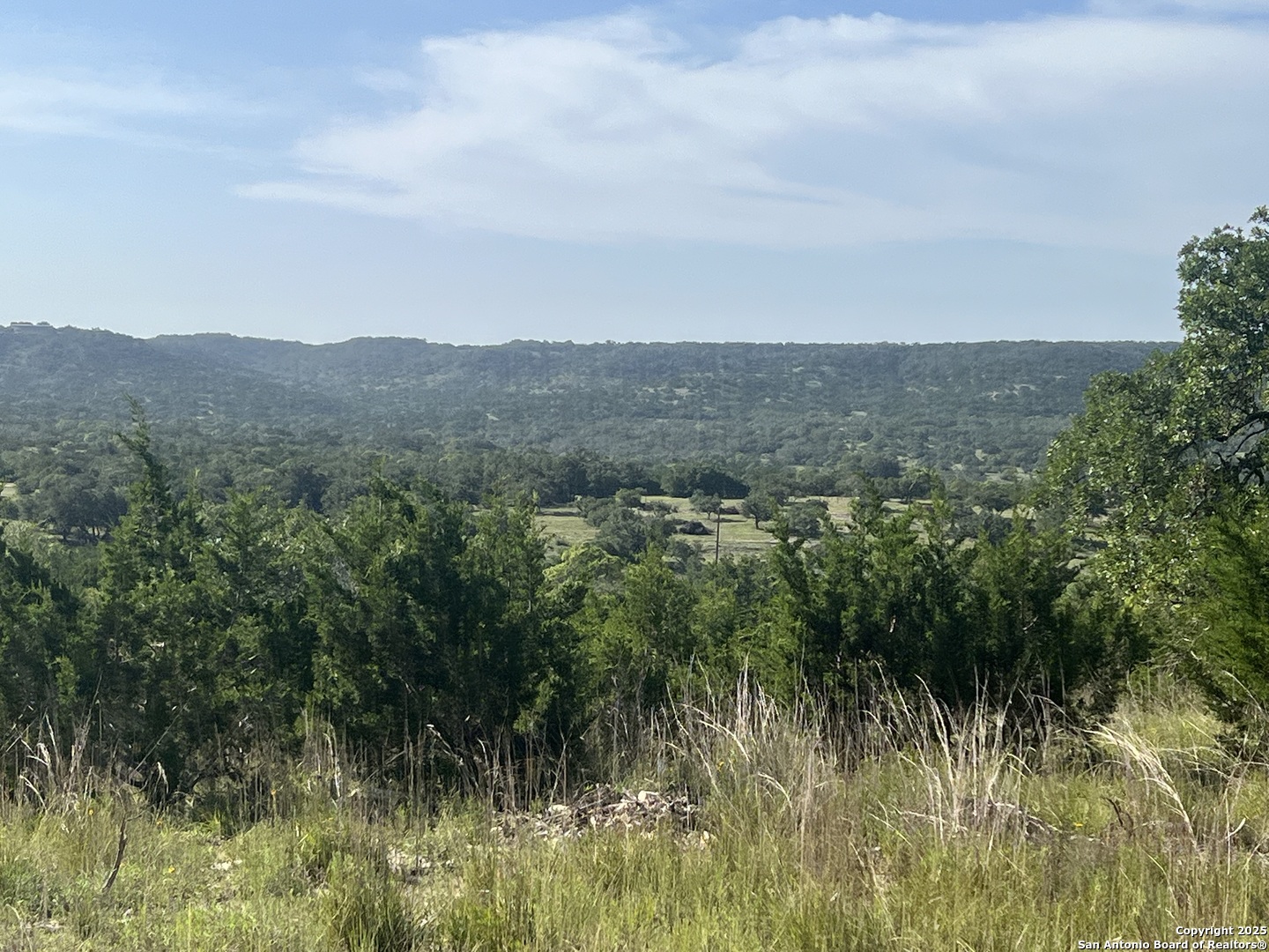 118 Coleman Boerne, TX 78006 - Photo 17 of 20 a view of a lush green forest with a mountain in the background