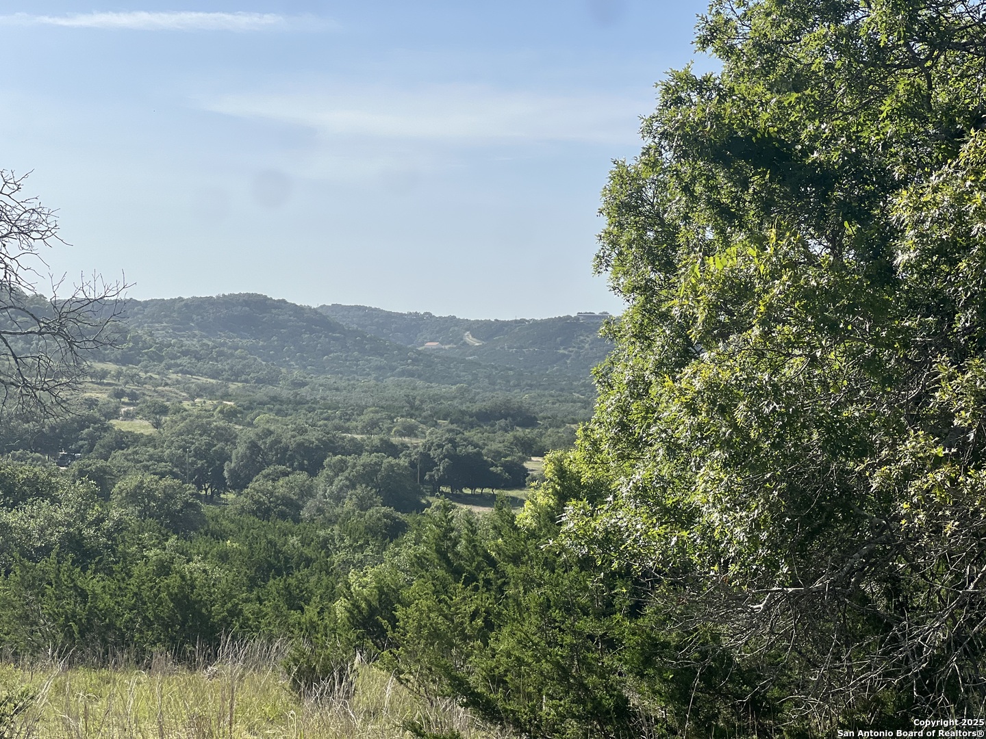 118 Coleman Boerne, TX 78006 - Photo 18 of 20 a view of a mountain in the distance in a field