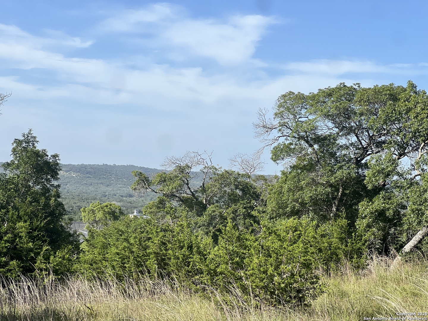 118 Coleman Boerne, TX 78006 - Photo 19 of 20 a view of a lake and green field