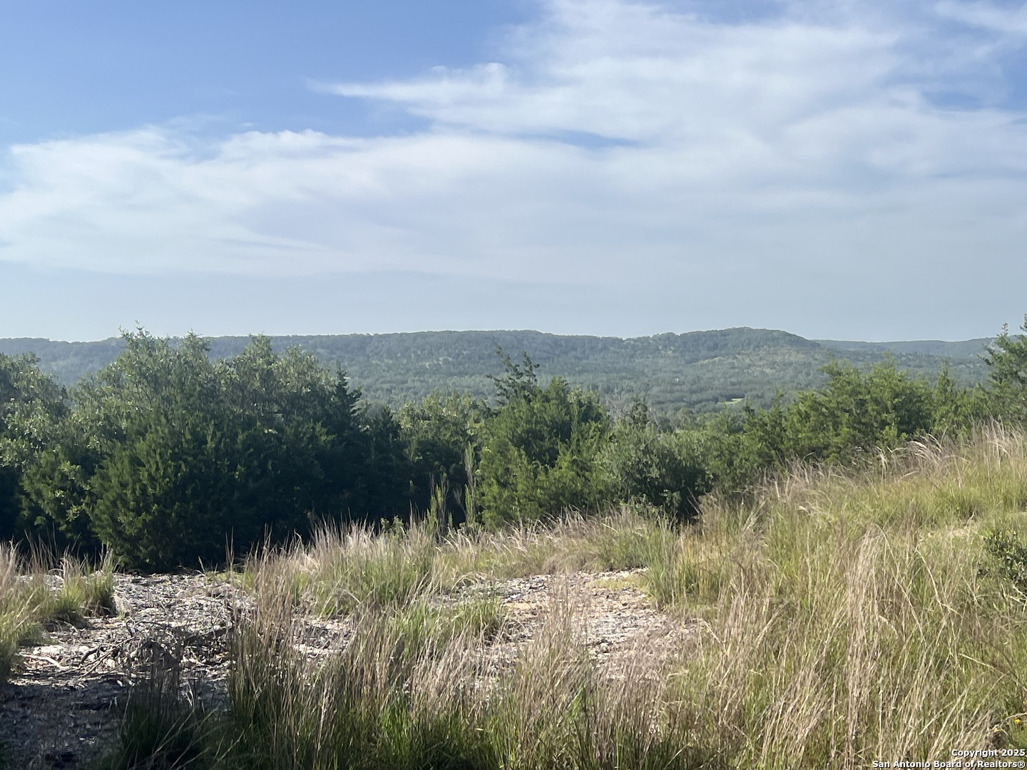 118 Coleman Boerne, TX 78006 - Photo 3 of 20 a view of a lake with a city