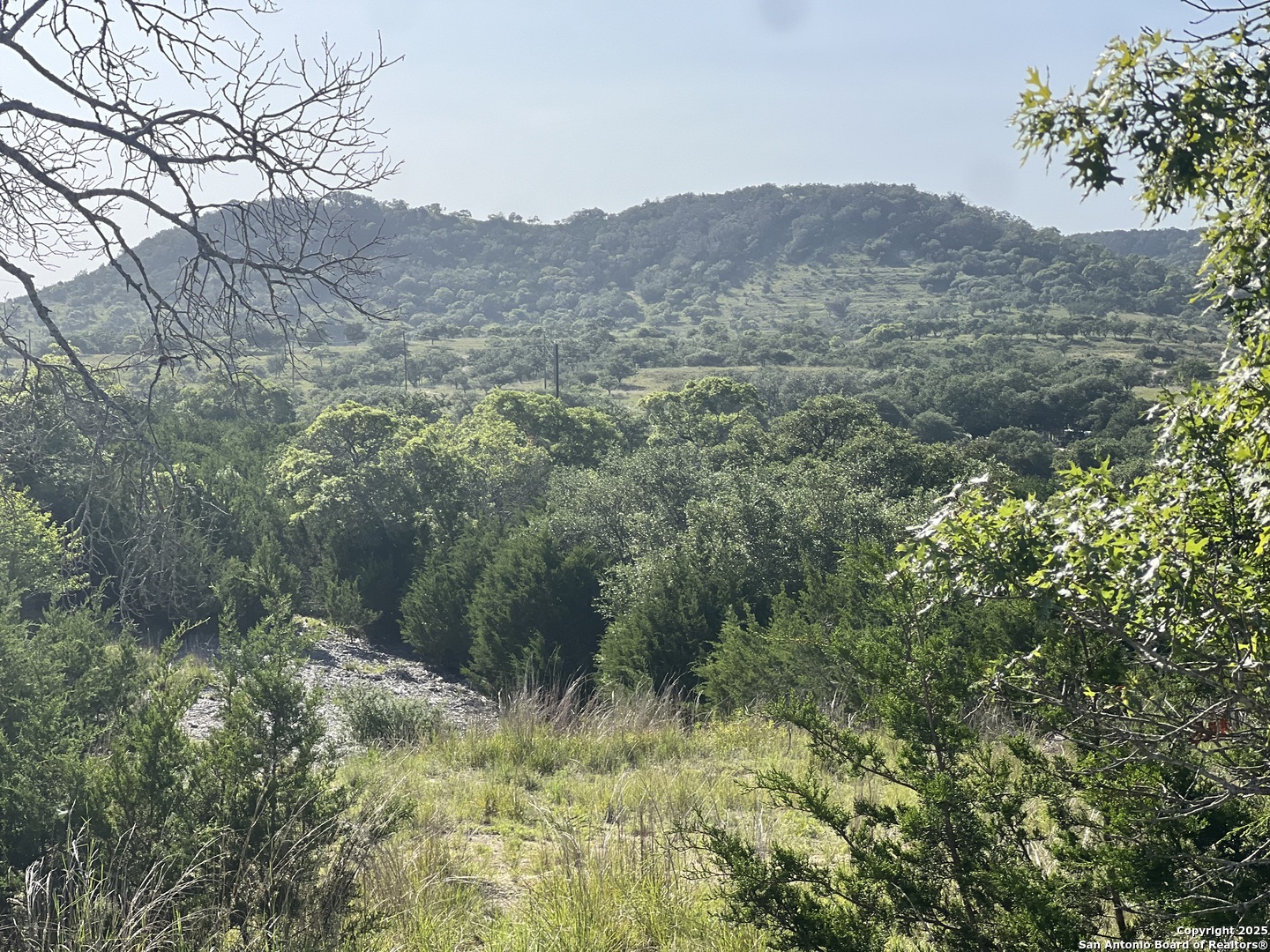 118 Coleman Boerne, TX 78006 - Photo 4 of 20 a view of a lush green forest with trees in the background