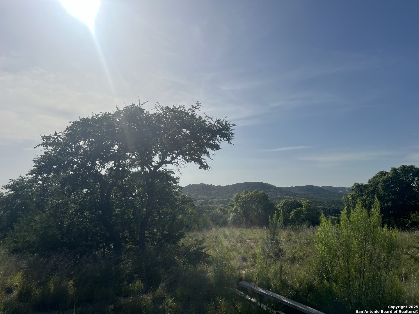 118 Coleman Boerne, TX 78006 - Photo 8 of 20 a view of a city
