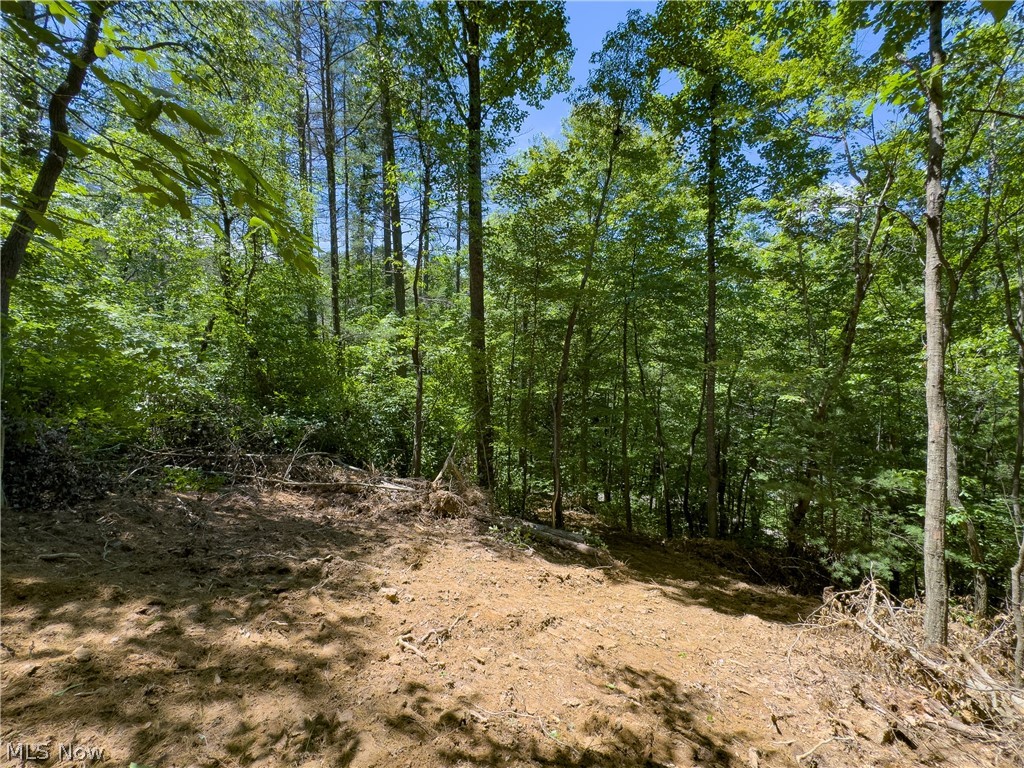 0 Long Hollow Road Pomeroy, OH 45769 - Photo 7 of 31