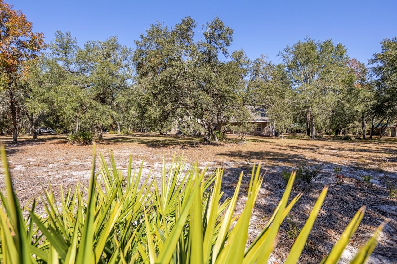3850 Preston Sheffield Road Greenville, FL 32331 - Photo 43 of 58