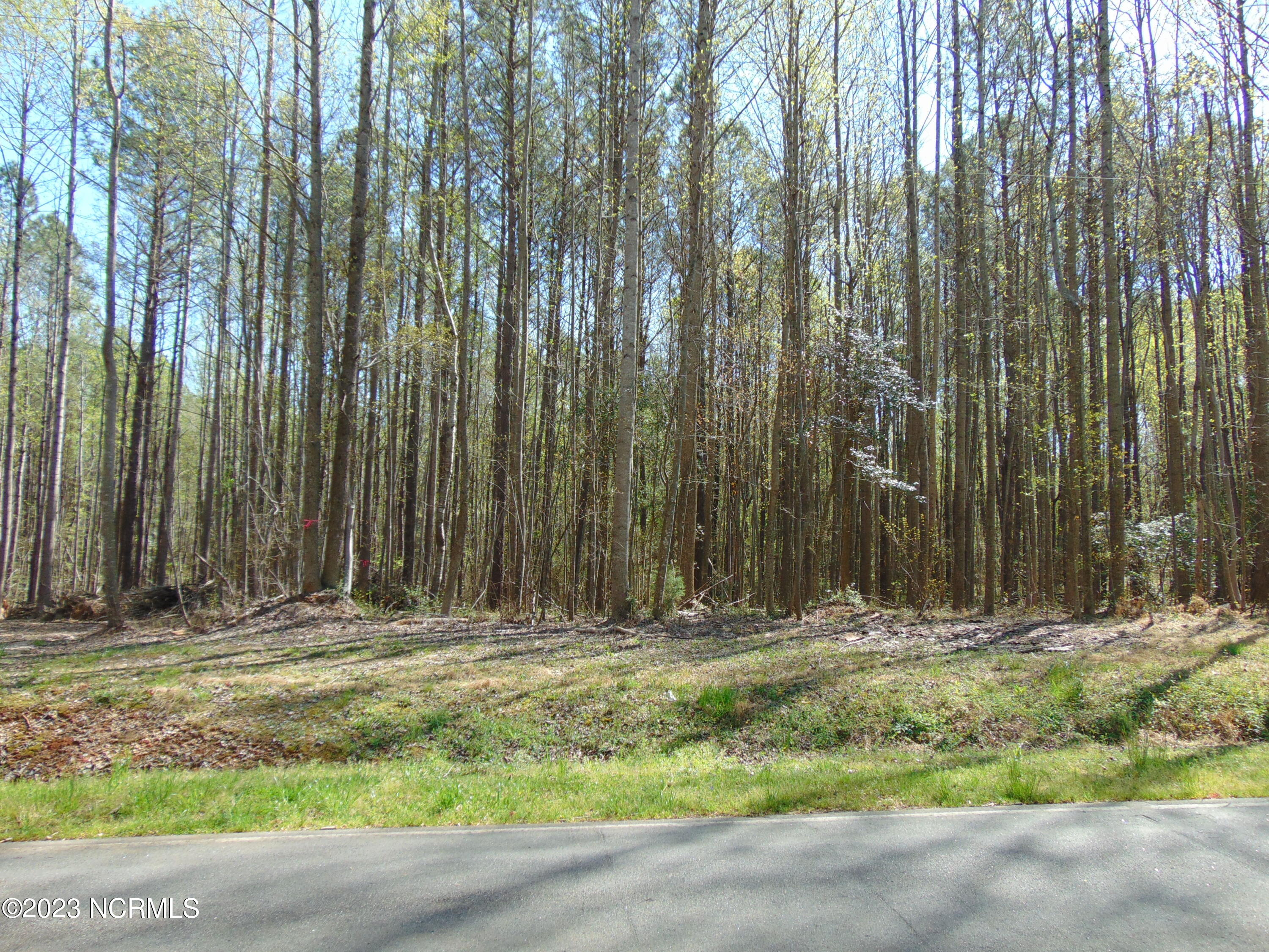0 Bass Road Spring Hope, NC 27882 - Photo 7 of 9 DSC03451