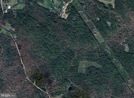 a view of a forest with a small yard