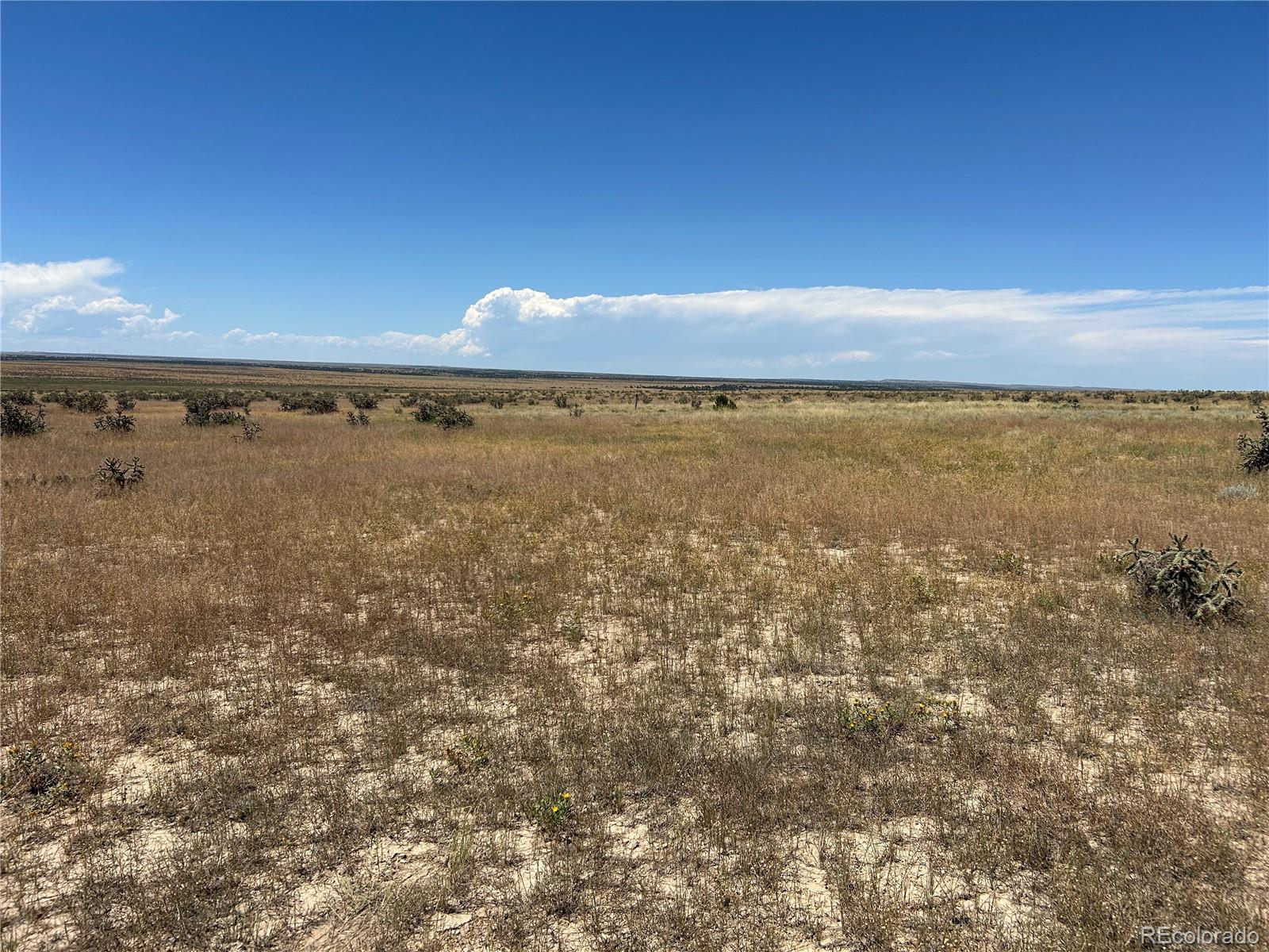Lot 4 Outback Ranch Model, CO 81059 - Photo 19 of 20 a view of an ocean and beach