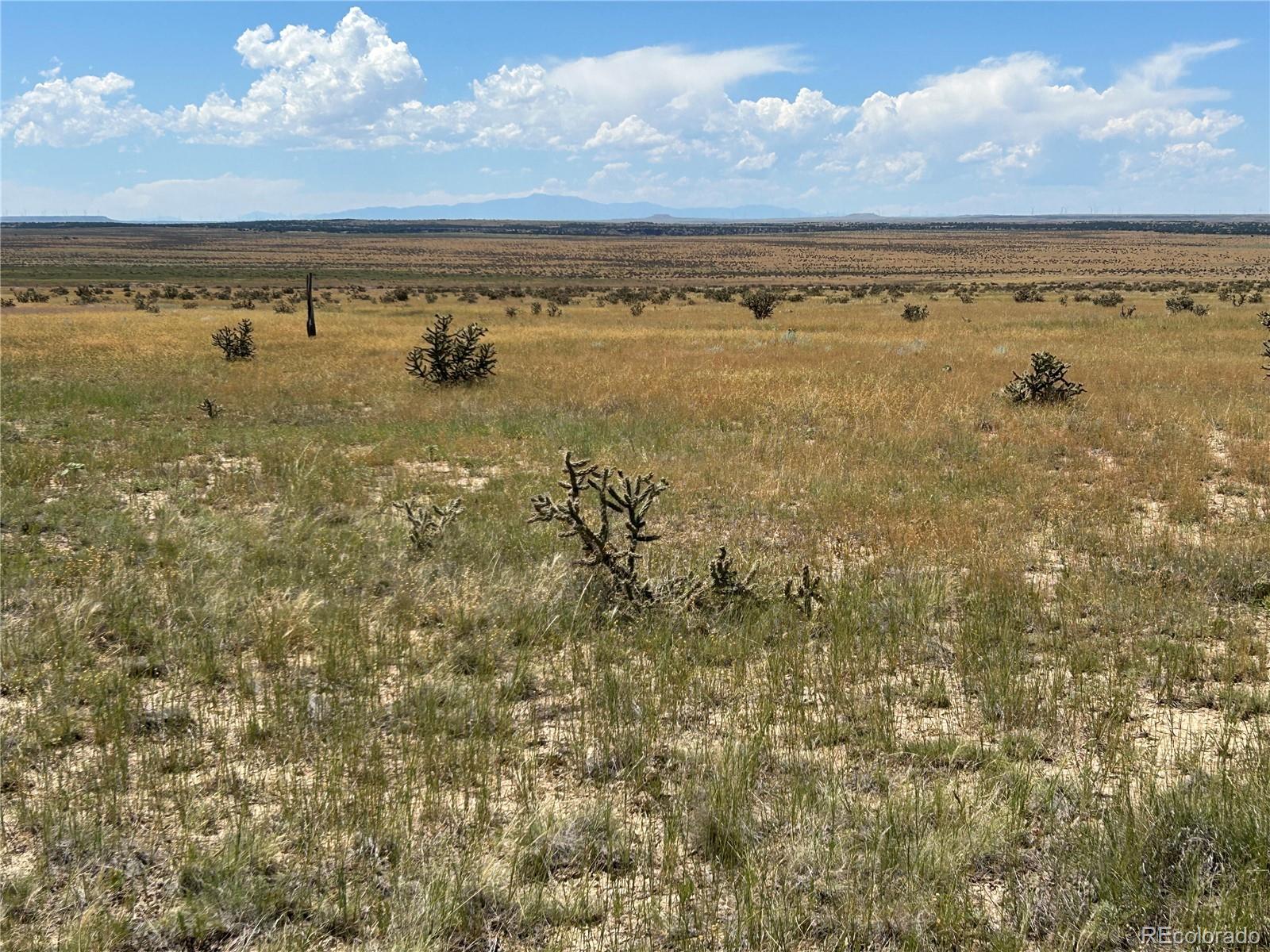 Lot 4 Outback Ranch Model, CO 81059 - Photo 3 of 20