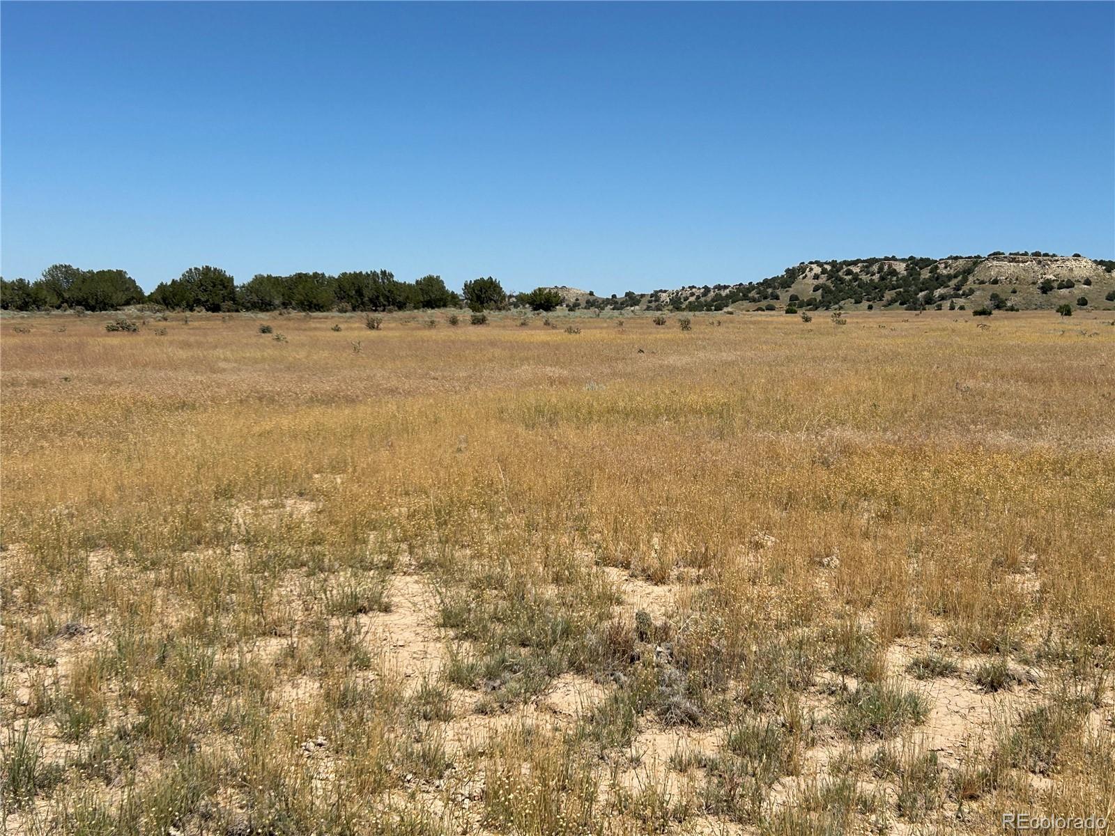 Lot 4 Outback Ranch Model, CO 81059 - Photo 8 of 20 a view of a lake view
