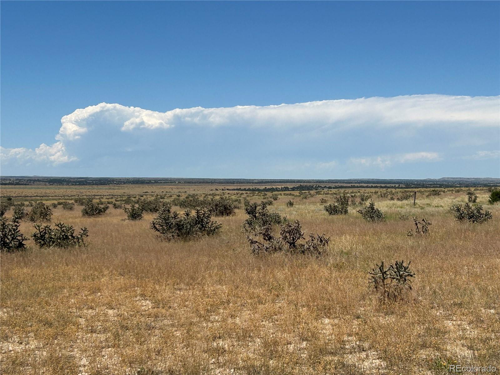 Lot 4 Outback Ranch Model, CO 81059 - Photo 9 of 20 a view of lake view and mountain