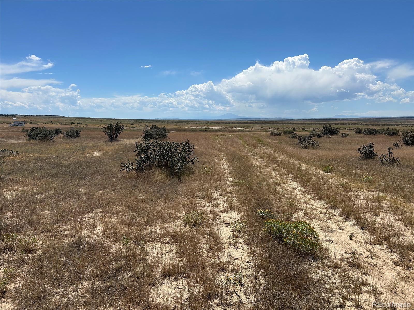 Lot 4 Outback Ranch Model, CO 81059 - Photo 10 of 20 a view of an ocean and beach